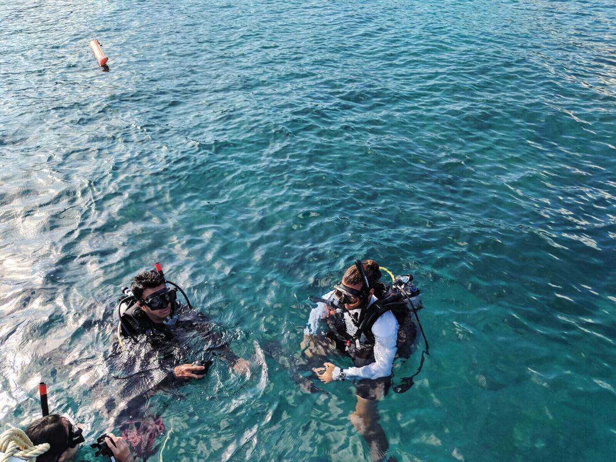 Quiver Dive Team Perhentian Dorm Pulau Perhentian Kecil Eksteriør bilde